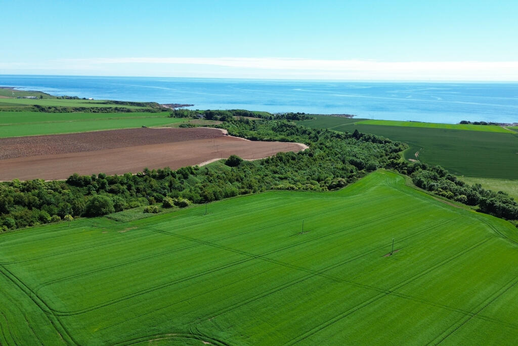 Additional image 37 of Bush, St Cyrus, DD10