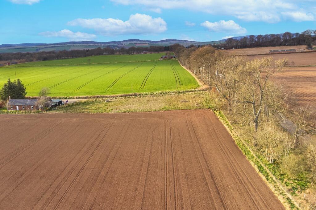 Primary image of Park Cottage , Careston, Brechin, Angus, DD9