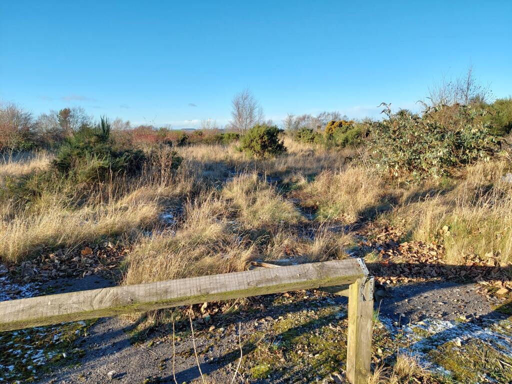 Additional image 4 of Land North of Freicks Buildings, Front Street, County Durham, DH9 9JZ