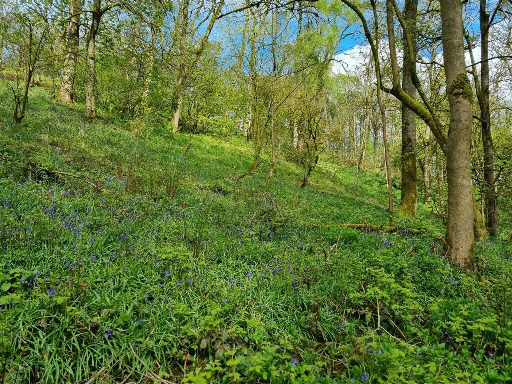 Additional image 5 of Lot 3: Gospel Farm, Bramley Lane, Hassop, Bakewell