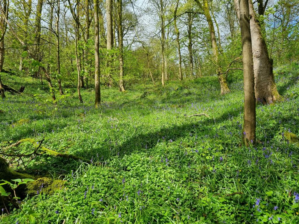 Additional image 2 of Lot 3: Gospel Farm, Bramley Lane, Hassop, Bakewell
