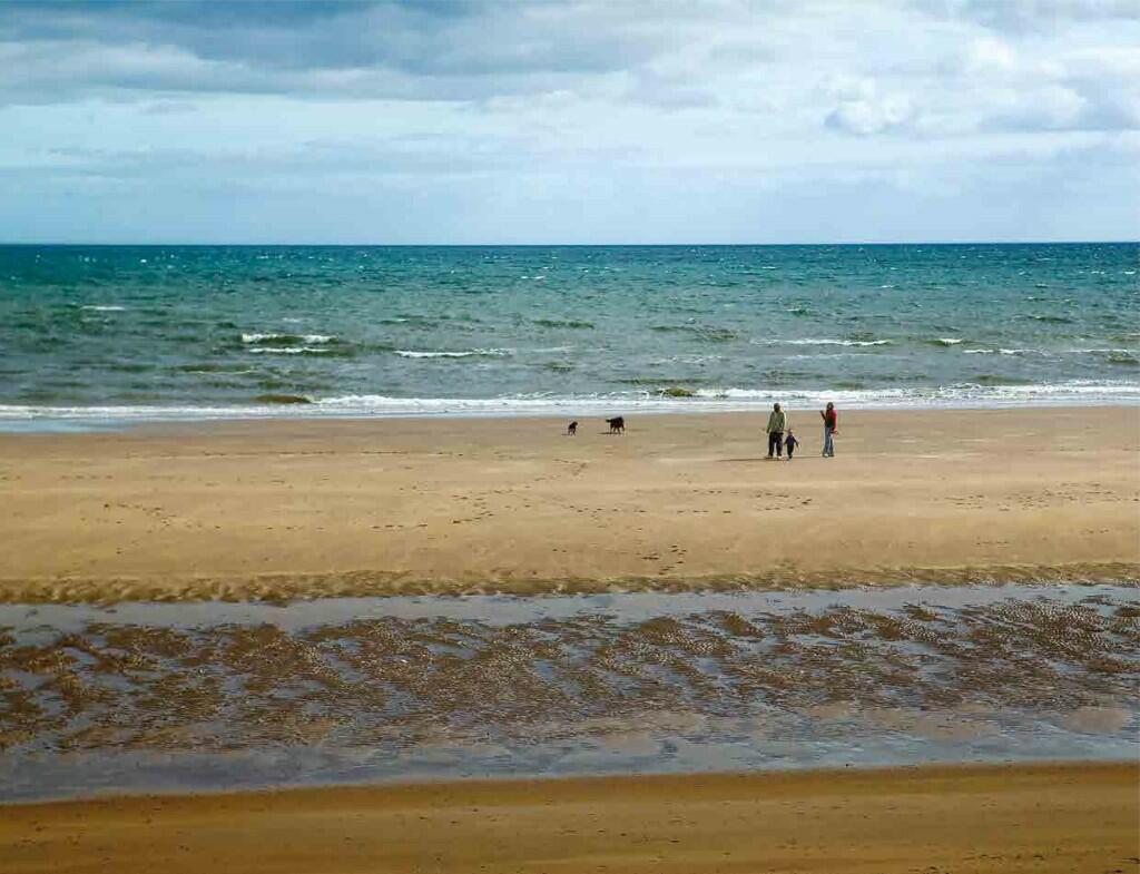 Additional image 9 of Earl Matthew Avenue, Arbroath, Angus, DD11