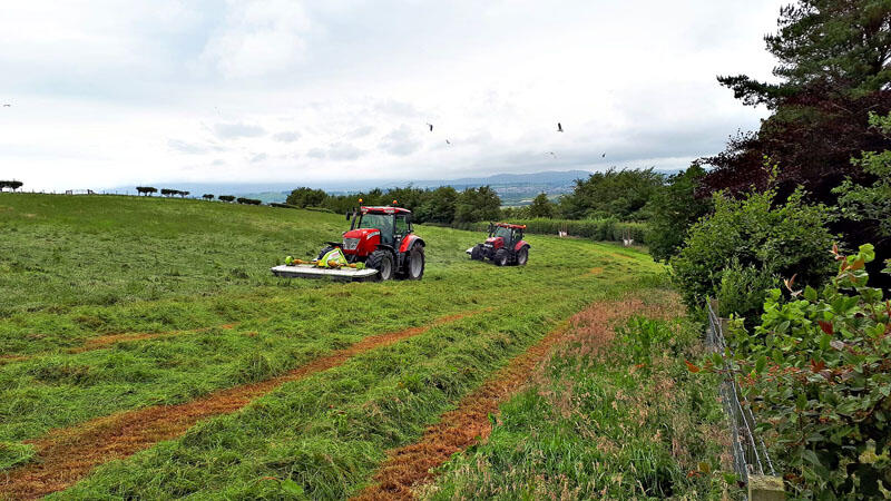 Additional image 6 of Greencleuch