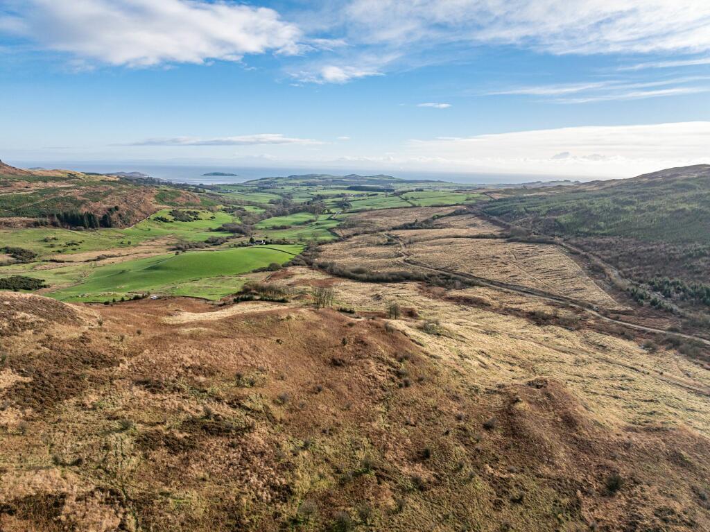 Additional image 9 of Dungarry Hill Plantation, Auchencairn, Castle Douglas, DG7