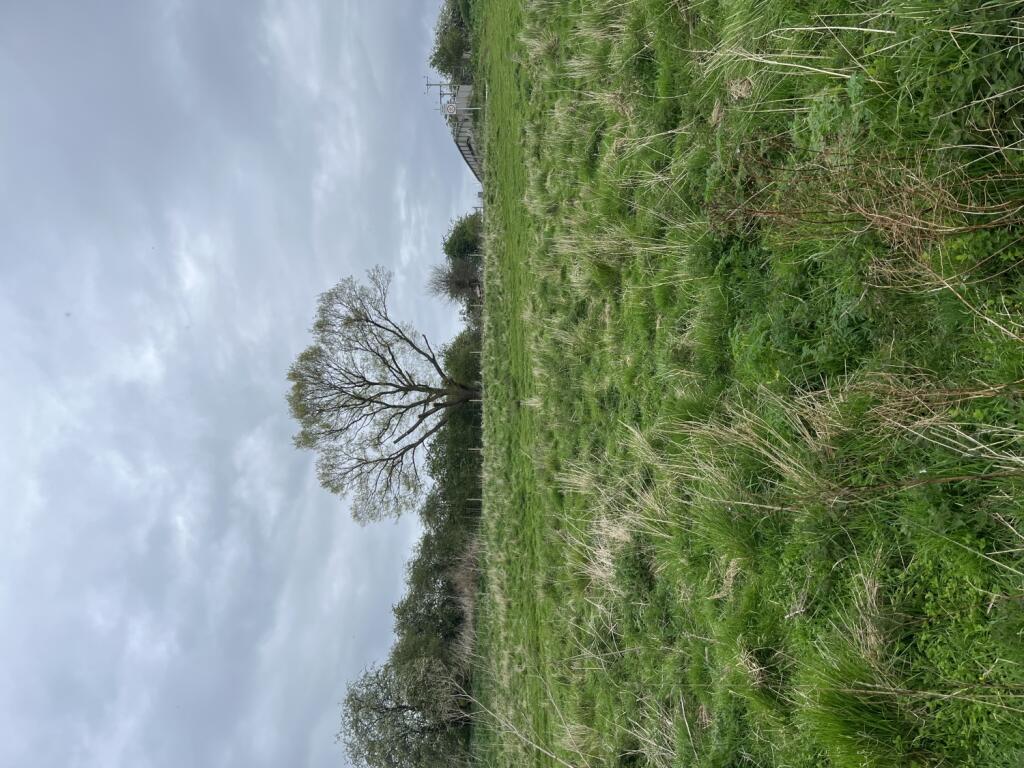 Additional image 11 of Land at Aycliffe Lane Aycliffe Lane, Brafferton, Darlington