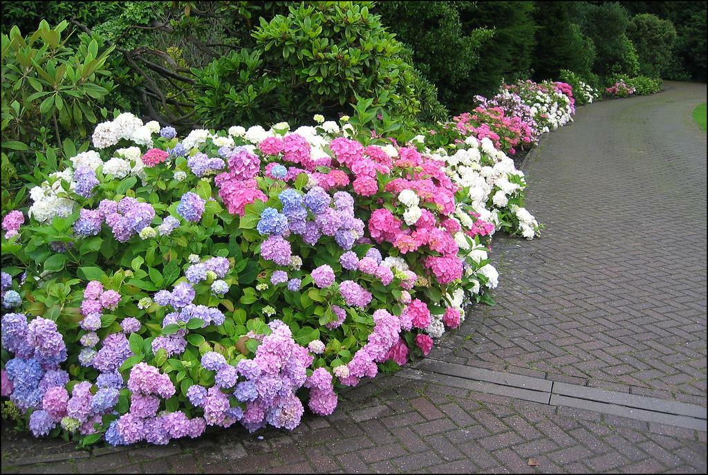 Additional image 22 of Eshwood Hall, Durham