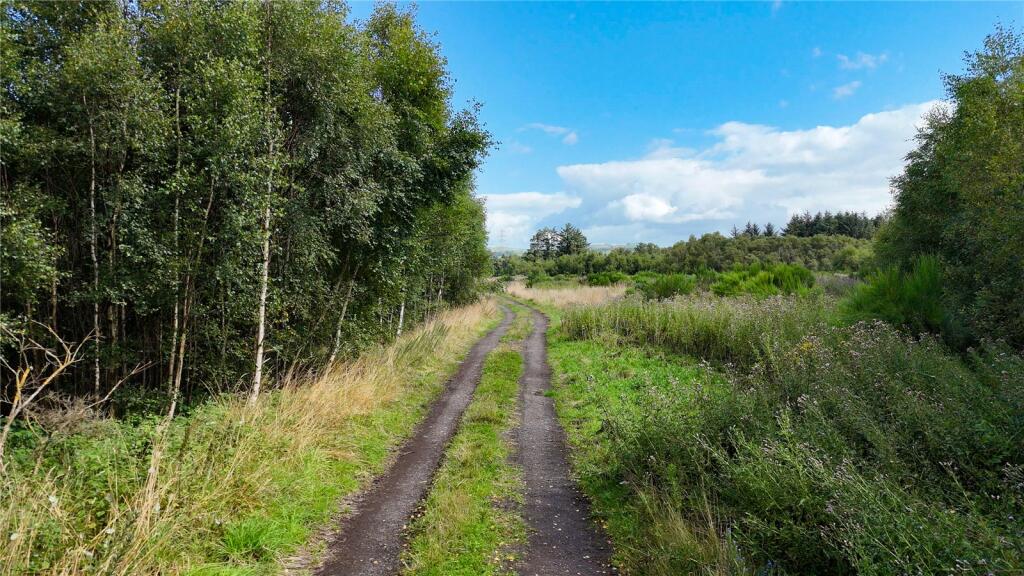 Additional image 14 of Fleet Forest, Fleet Forest, Dumfries, Dumfries & Galloway, South West Scotland, DG1