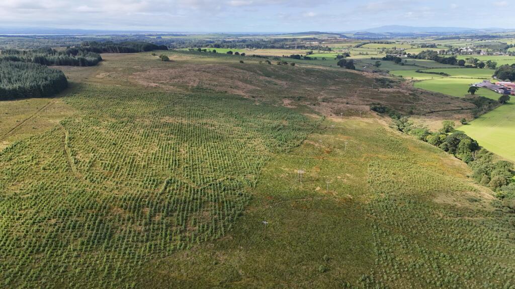Additional image 7 of Hotts Hill Forest, Waterbeck, Lockerbie DG11 3HA