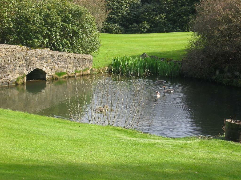Additional image 29 of Eshwood Hall, Durham