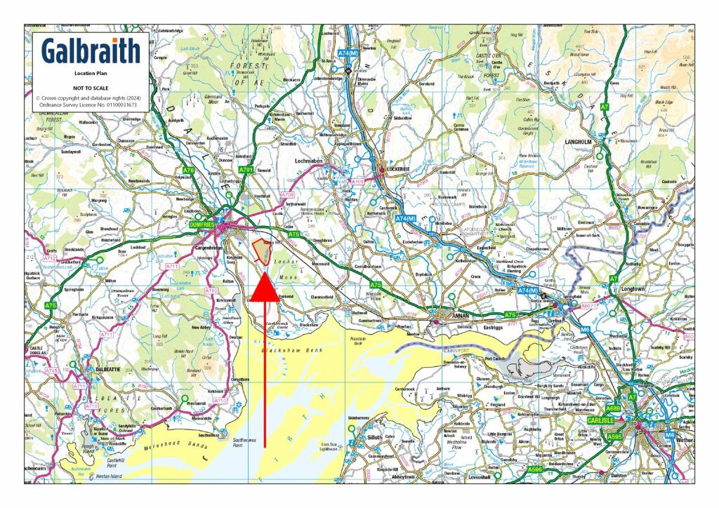 Additional image 25 of Fleet Forest, Fleet Forest, Dumfries, Dumfries & Galloway, South West Scotland, DG1