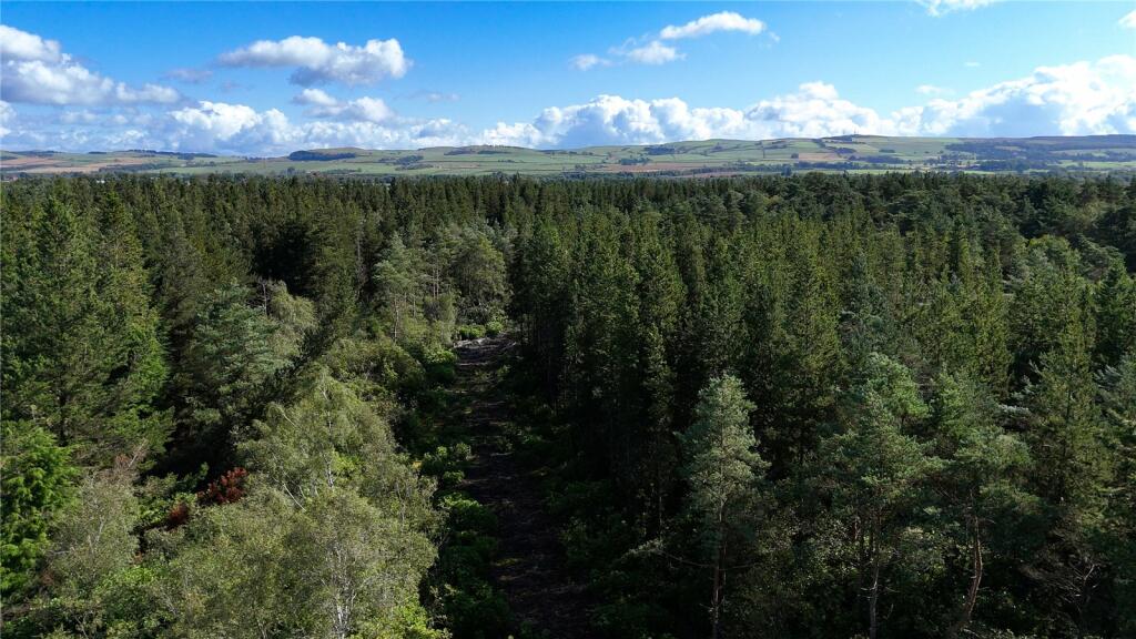 Additional image 20 of Fleet Forest, Fleet Forest, Dumfries, Dumfries & Galloway, South West Scotland, DG1