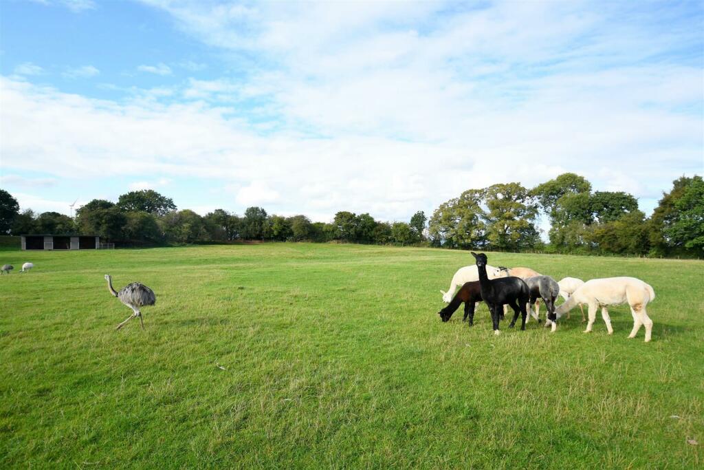Additional image 39 of The Pump House, New Gate Court, Main Road, Anslow, DE13