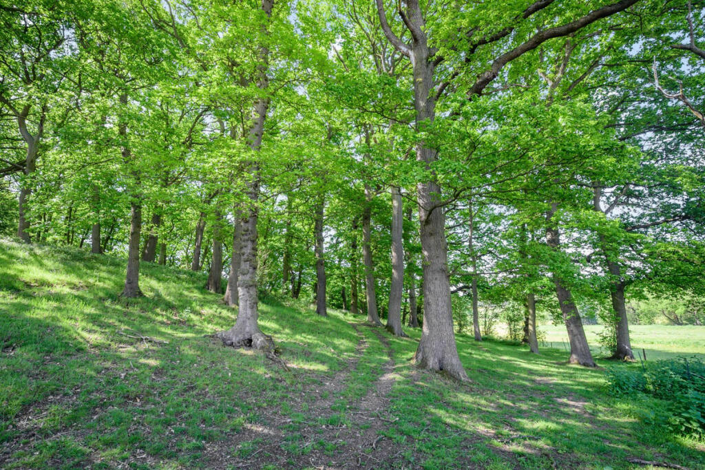 Additional image 10 of Mancetter, Atherstone, CV9 2RL