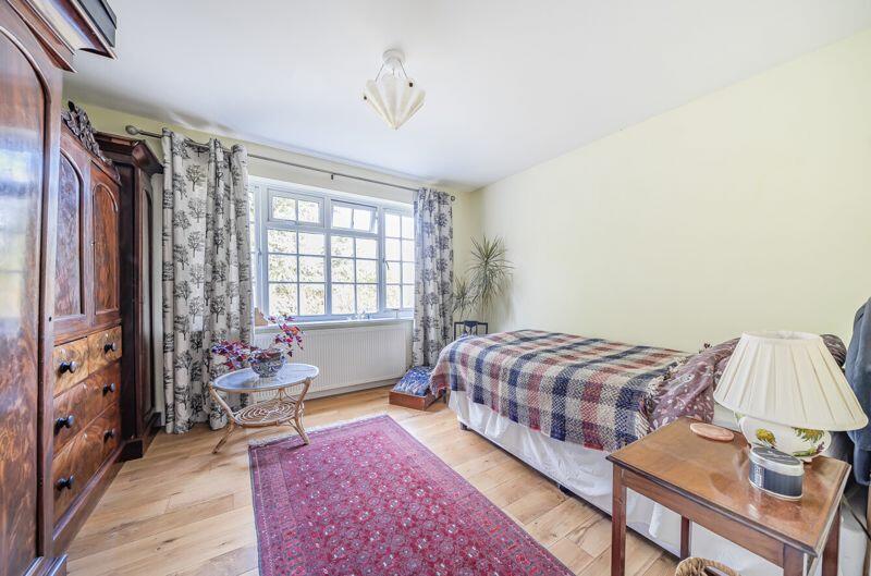 Additional image 6 of Ash