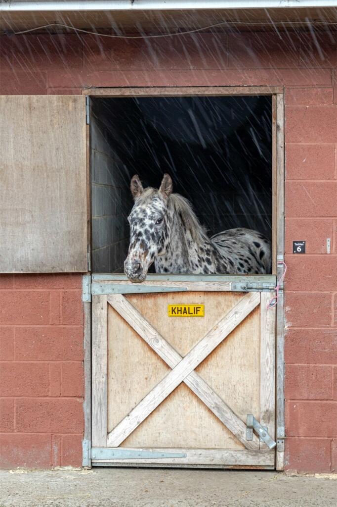 Additional image 24 of Angel Of The North Fishing Lakes, Bassets Lookout, Northside, Birtley