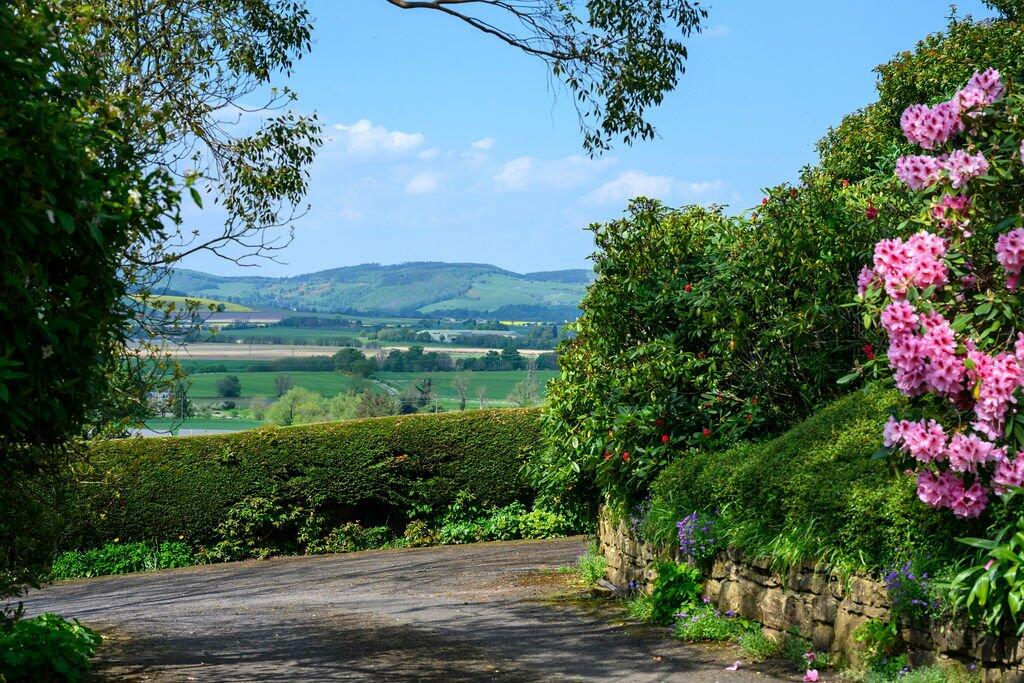 Additional image 51 of Strathmartine, Angus