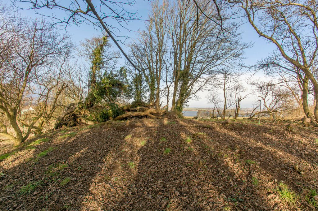 Additional image 2 of Former Castle Site, Rossie Braes, Montrose, Montrose, DD10