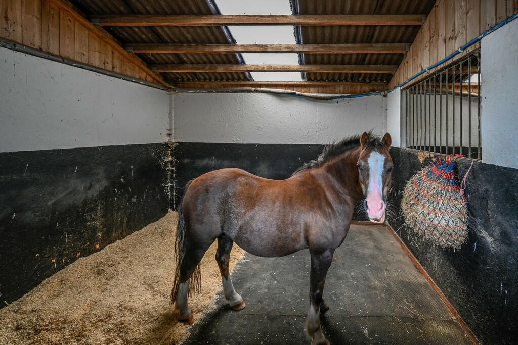 Additional image 29 of Edlaston, Ashbourne