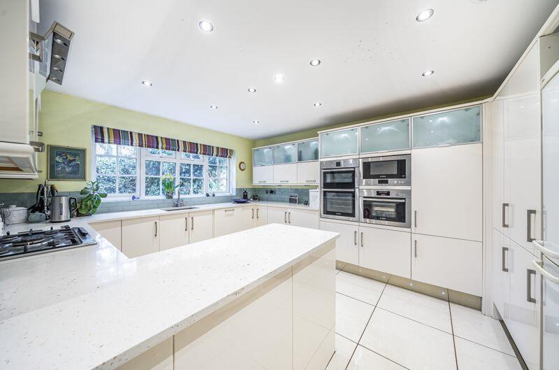 Additional image 3 of Ash