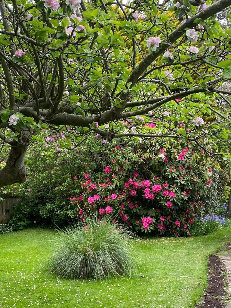 Additional image 14 of Cherry Garden Lane, Folkestone, Kent