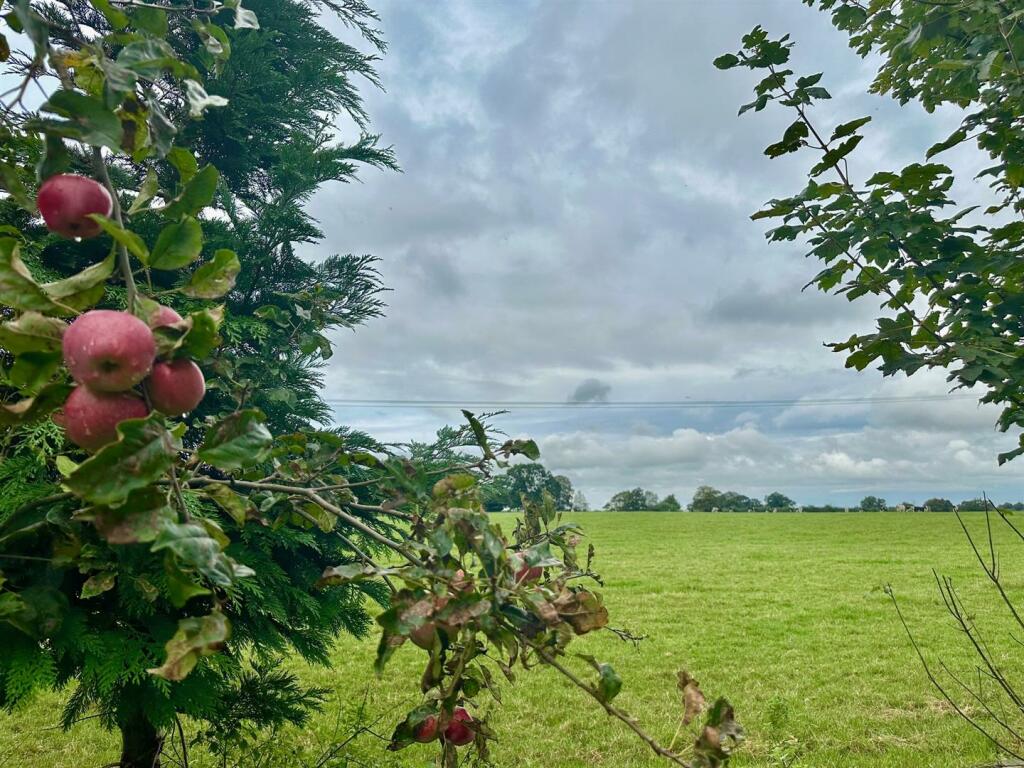 Additional image 23 of Crewe Road, Willaston, Cheshire