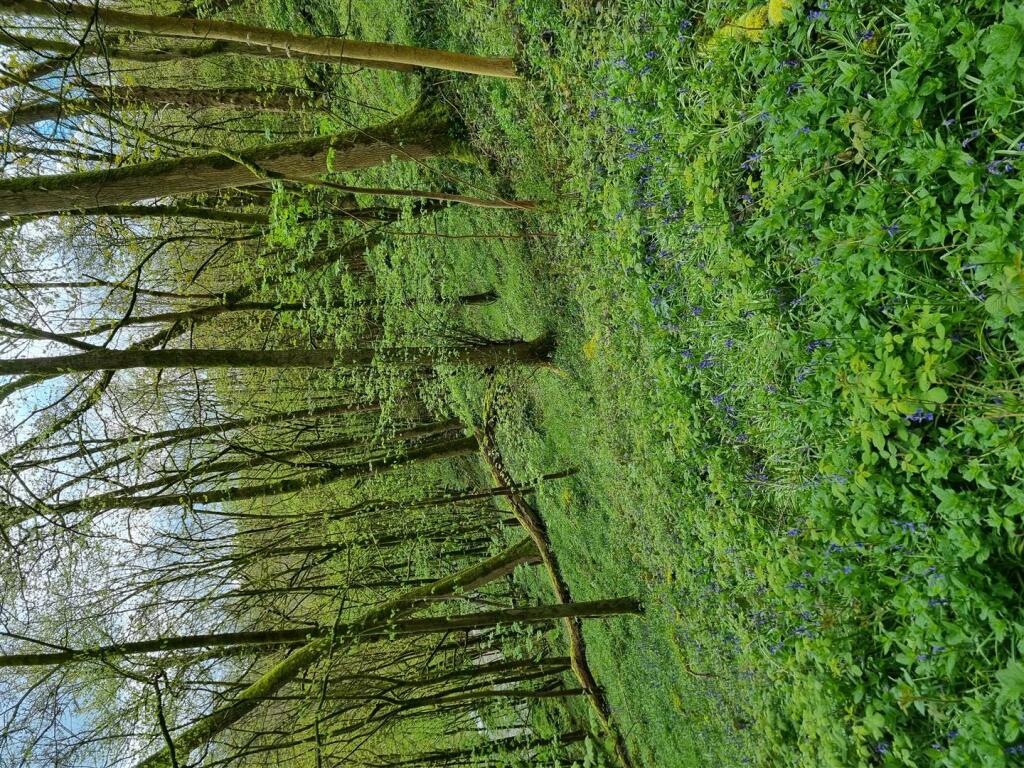 Additional image 12 of Lot 3: Gospel Farm, Bramley Lane, Hassop, Bakewell