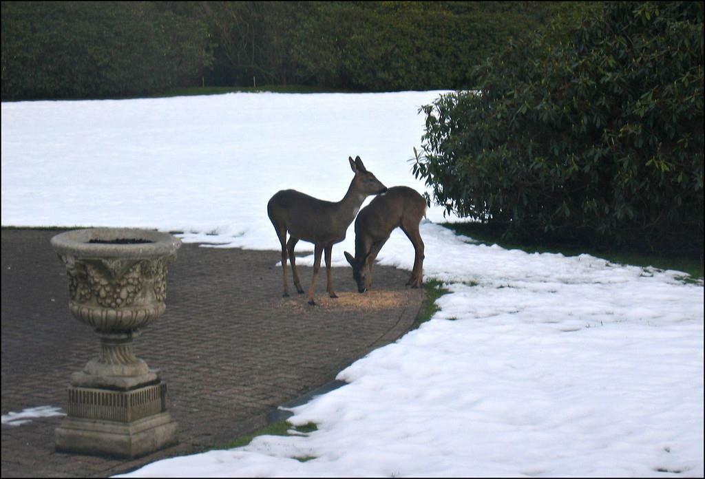 Additional image 27 of Eshwood Hall, Durham
