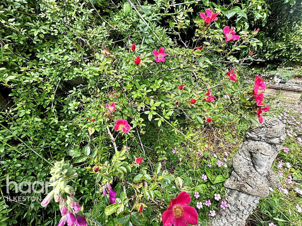 Additional image 39 of Cantelupe Road, Ilkeston