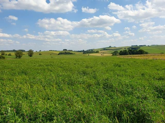 Additional image 5 of Lot 3 - Lode Lane, Alstonefield, Ashbourne