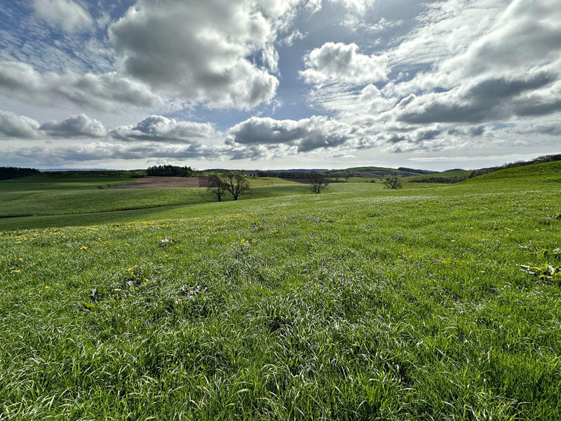 Additional image 21 of Boreland of Borgue