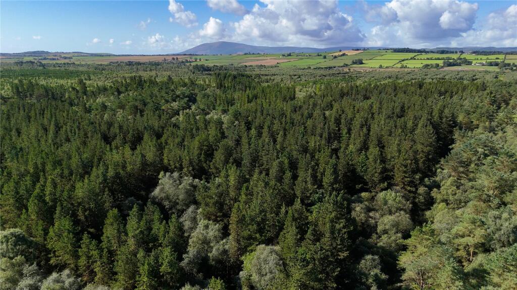 Additional image 5 of Fleet Forest, Fleet Forest, Dumfries, Dumfries & Galloway, South West Scotland, DG1