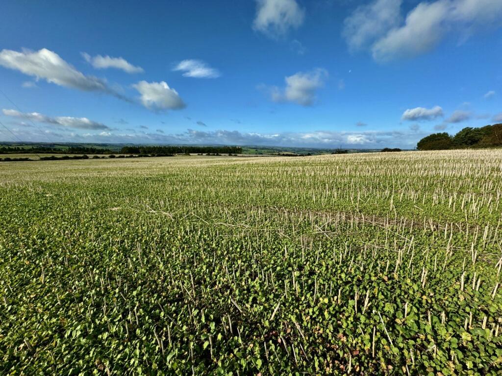Additional image 3 of Land at Lanchester, Peth Lane, Lanchester, Durham