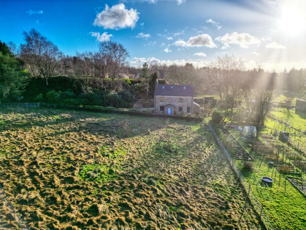 Additional image 46 of Allen Lane, Tansley