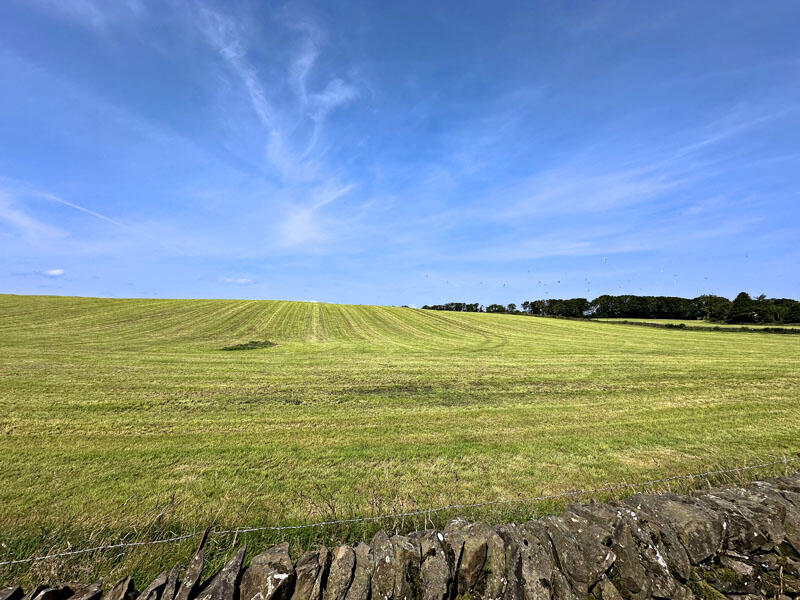 Additional image 19 of The Old Smiddy