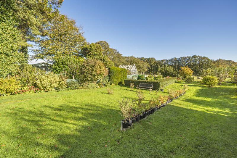 Additional image 22 of Postling