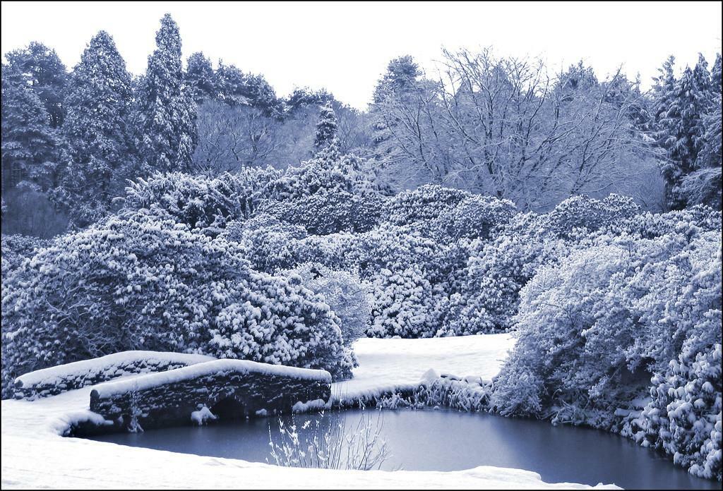 Additional image 26 of Eshwood Hall, Durham