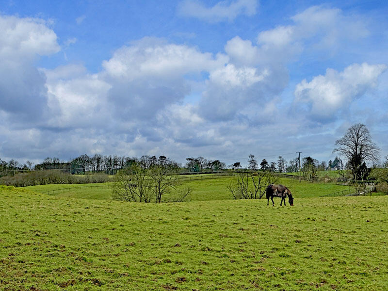 Additional image 4 of Lochhill Farm, Ringford, DG7 2AR