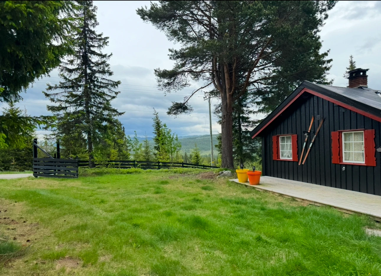 Additional image 2 of 3540 Nesbyen