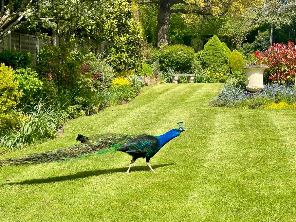 Additional image 15 of Clopton, Stratford-Upon-Avon, Warwickshire, CV37