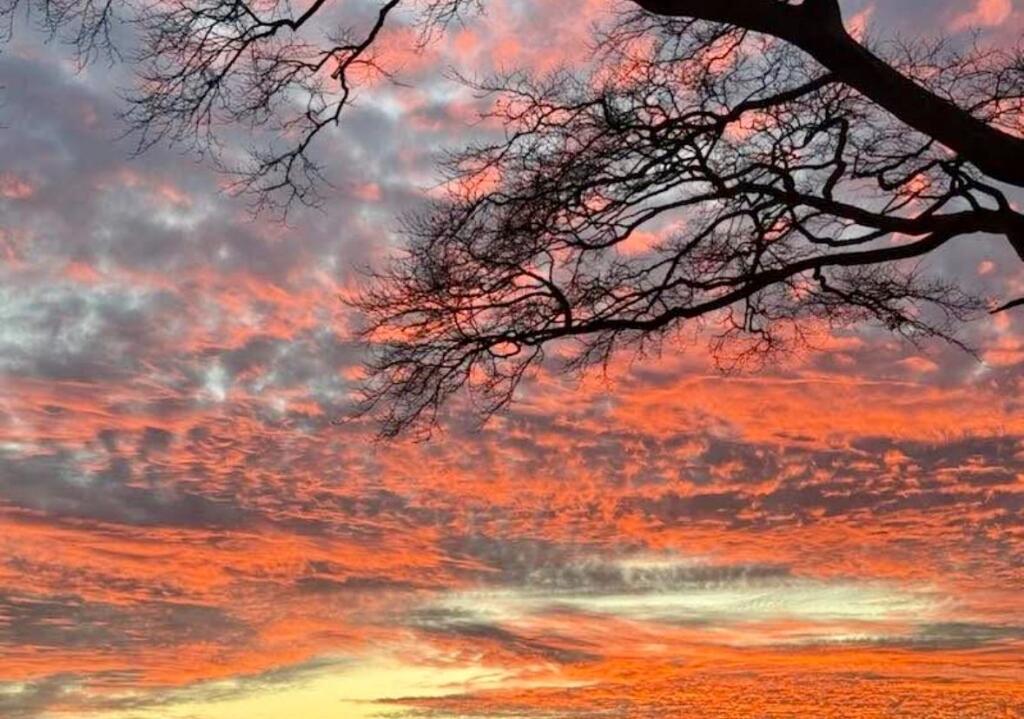 Additional image 17 of Seaton Road, Angus, DD11 5SZ