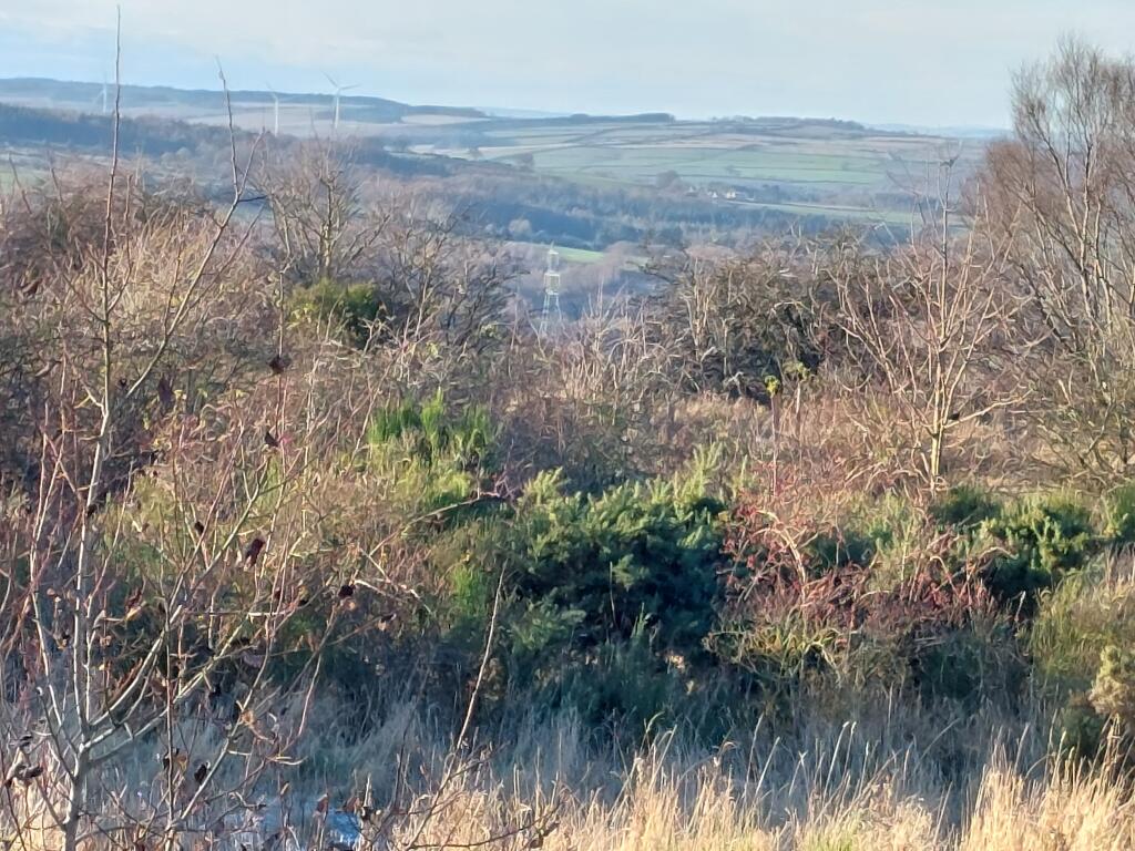 Additional image 14 of Land North of Freicks Buildings, Front Street, County Durham, DH9 9JZ