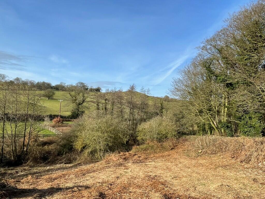 Additional image 9 of Land on Sadlers Lane, Cotebrook