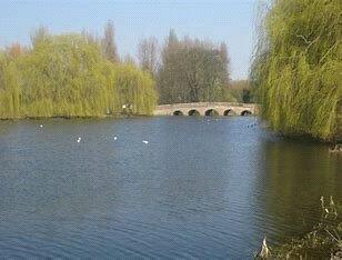 Additional image 4 of Riverside Road, Sidcup, DA14