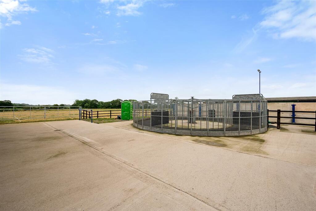 Additional image 7 of Newfield Equestrian & Dog Day Care, Nantwich Road, Wimboldsley, CW10 0LL