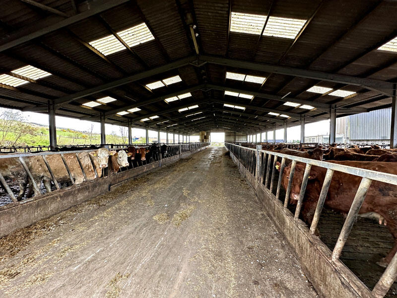 Additional image 10 of Townhead Farm Steading & Land