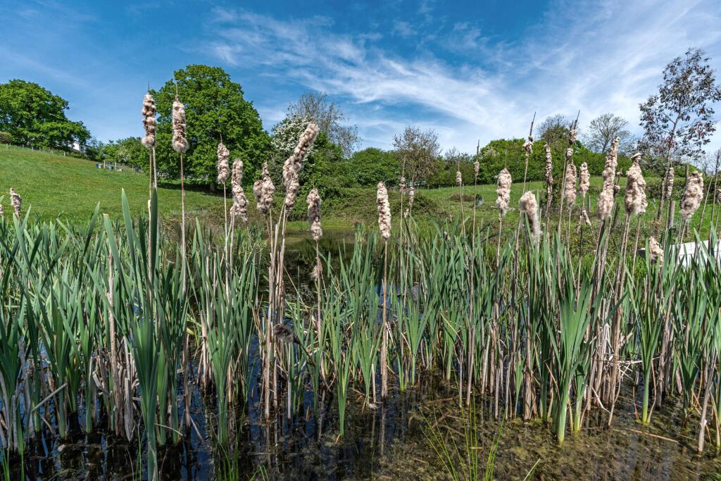Additional image 35 of Langley, Stratford-upon-Avon