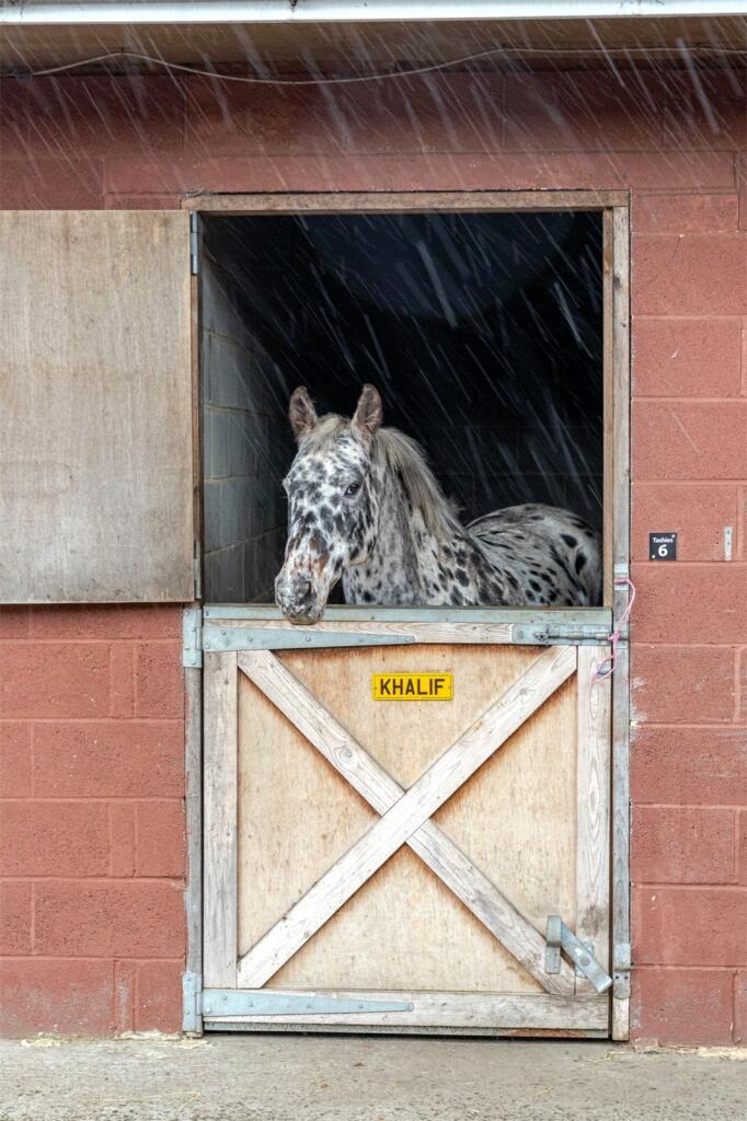 Additional image 24 of Angel Of The North Fishing Lakes, Bassets Lookout, Northside, Birtley