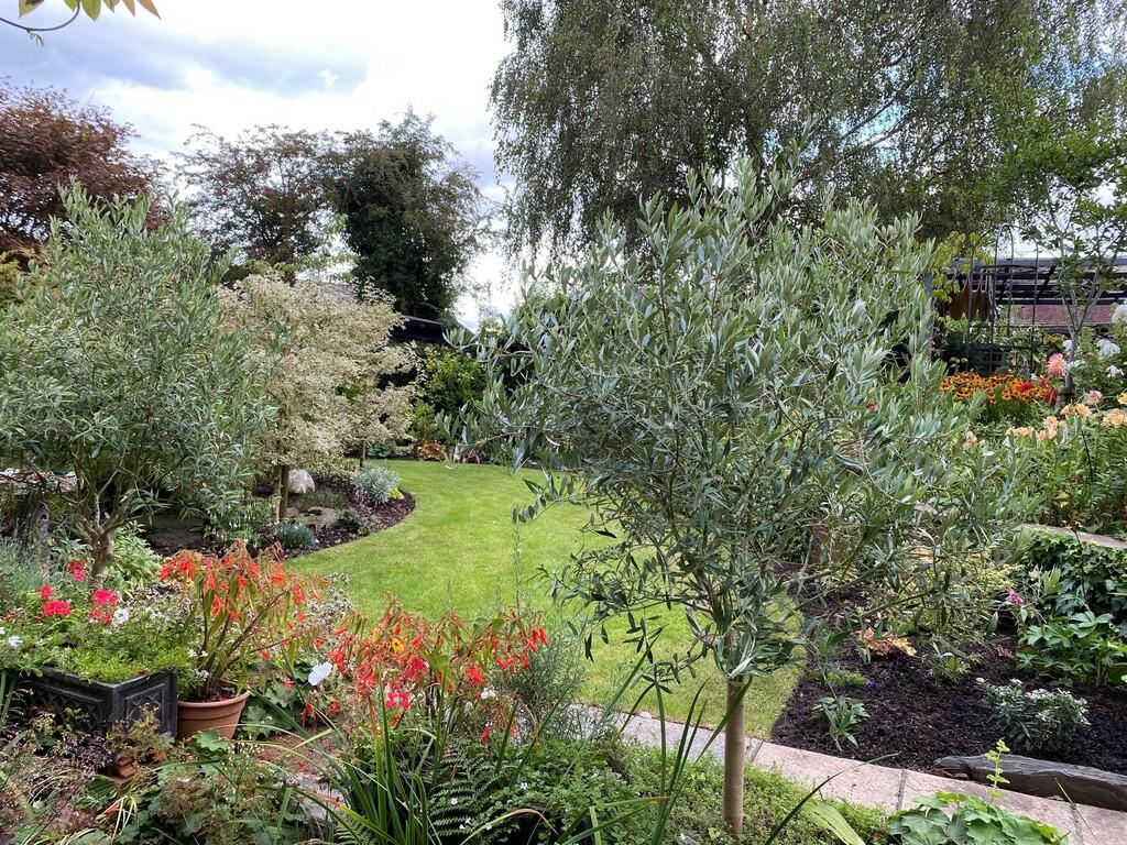 Additional image 23 of New Row, Draycott-in-the-clay