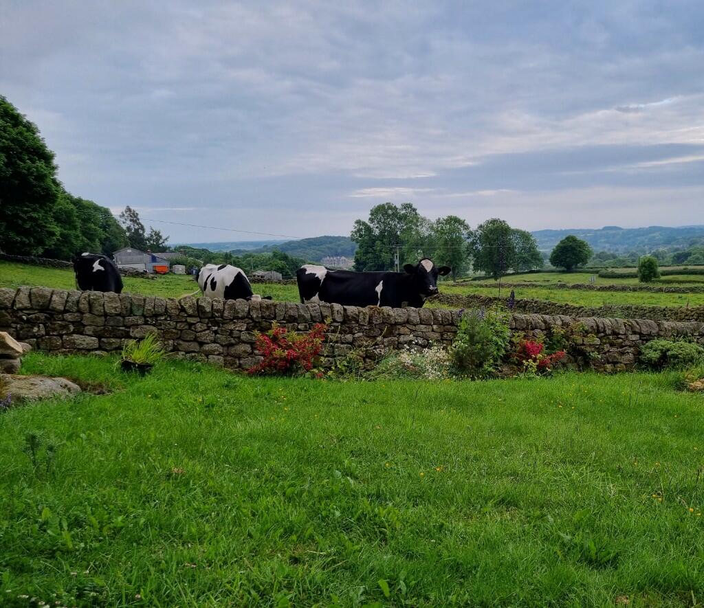 Additional image 6 of Parkhead, DE4