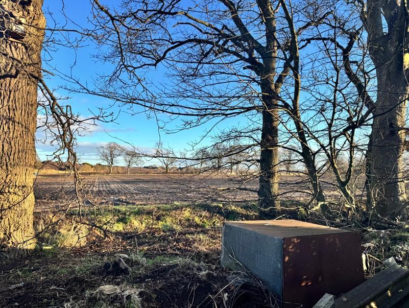 Additional image 11 of Ashludie Terrace, Monifieth, Dundee